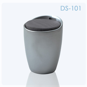 DS101